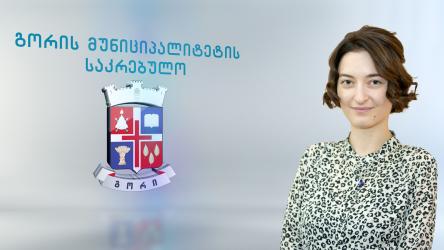 ნანი ოქროპირიძე 