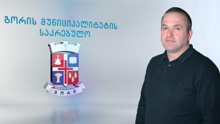 გიორგი შიოშვილი 